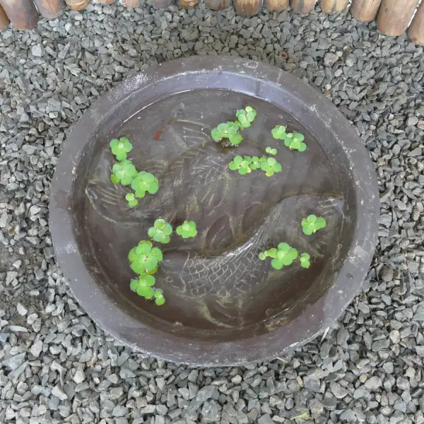 Product image 3 of the product “Waterbowl with 2 Fish, 40 cm Ø | cast stone, handcrafted & coloured 40 cm”